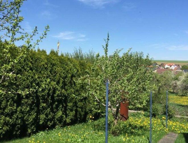 Ferienwohnung Moni Braunlingen Bagian luar foto